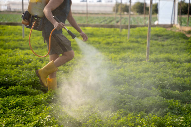 Best Pest Removal Services  in Hays, KS